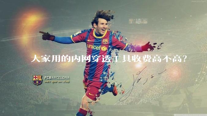 大家用的内网穿透工具收费高不高？