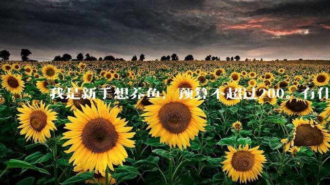 我是新手想养鱼，预算不超过200。有什么好的建议或者禁忌吗。？