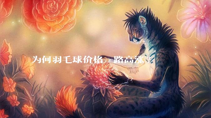 为何羽毛球价格一路高涨?