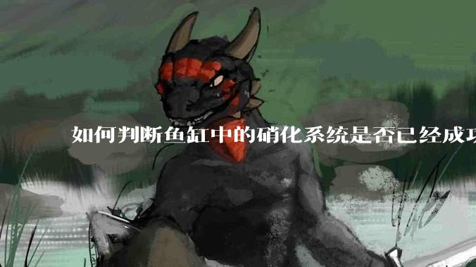 如何判断鱼缸中的硝化系统是否已经成功建立？