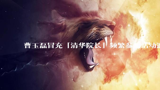 曹玉磊冒充「清华院长」频繁参加活动遭官方打***，他为何能堂而皇之以***身份开展活动？其将受到哪些处罚？