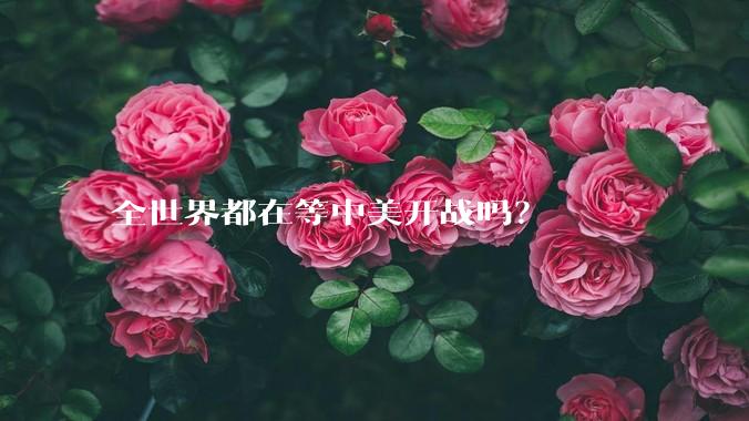 全世界都在等中美开战吗？