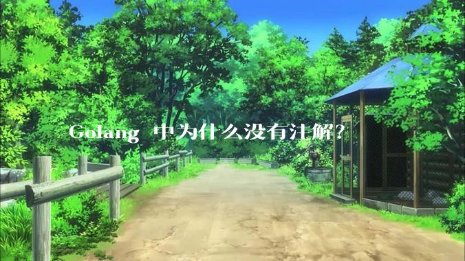 Golang 中为什么没有注解？